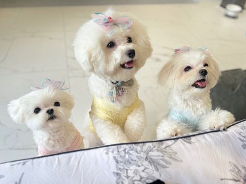 IMG_8594-1708017252335