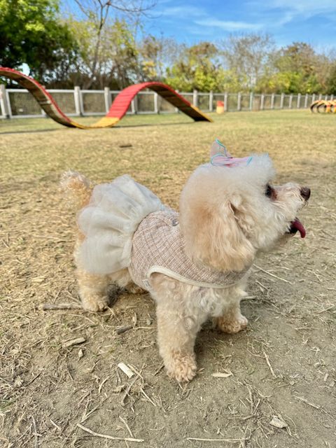 IMG_1740-1708080599705