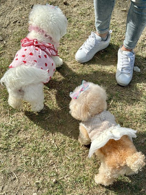 IMG_1724-1708080599717