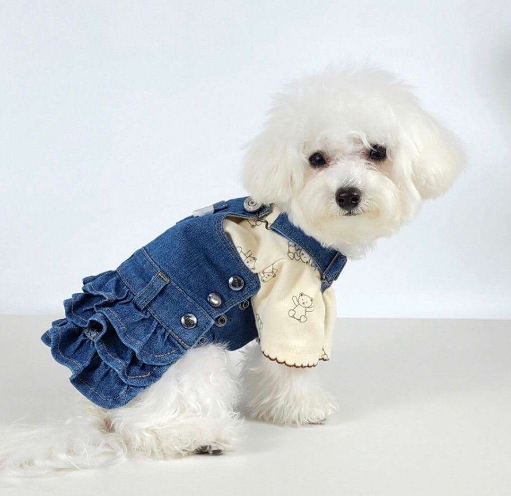 LINE_ALBUM_Grooming dog_240216_3