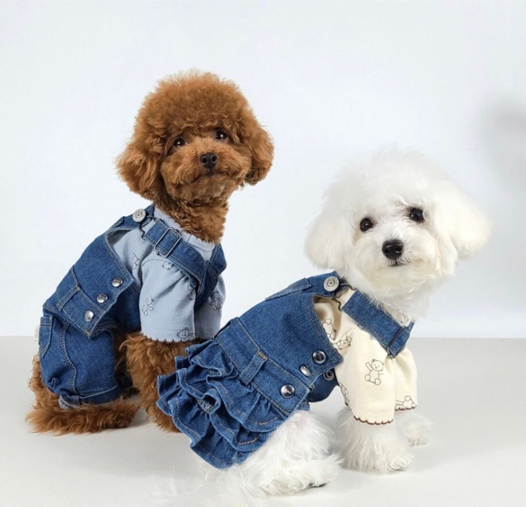LINE_ALBUM_Grooming dog_240216_5