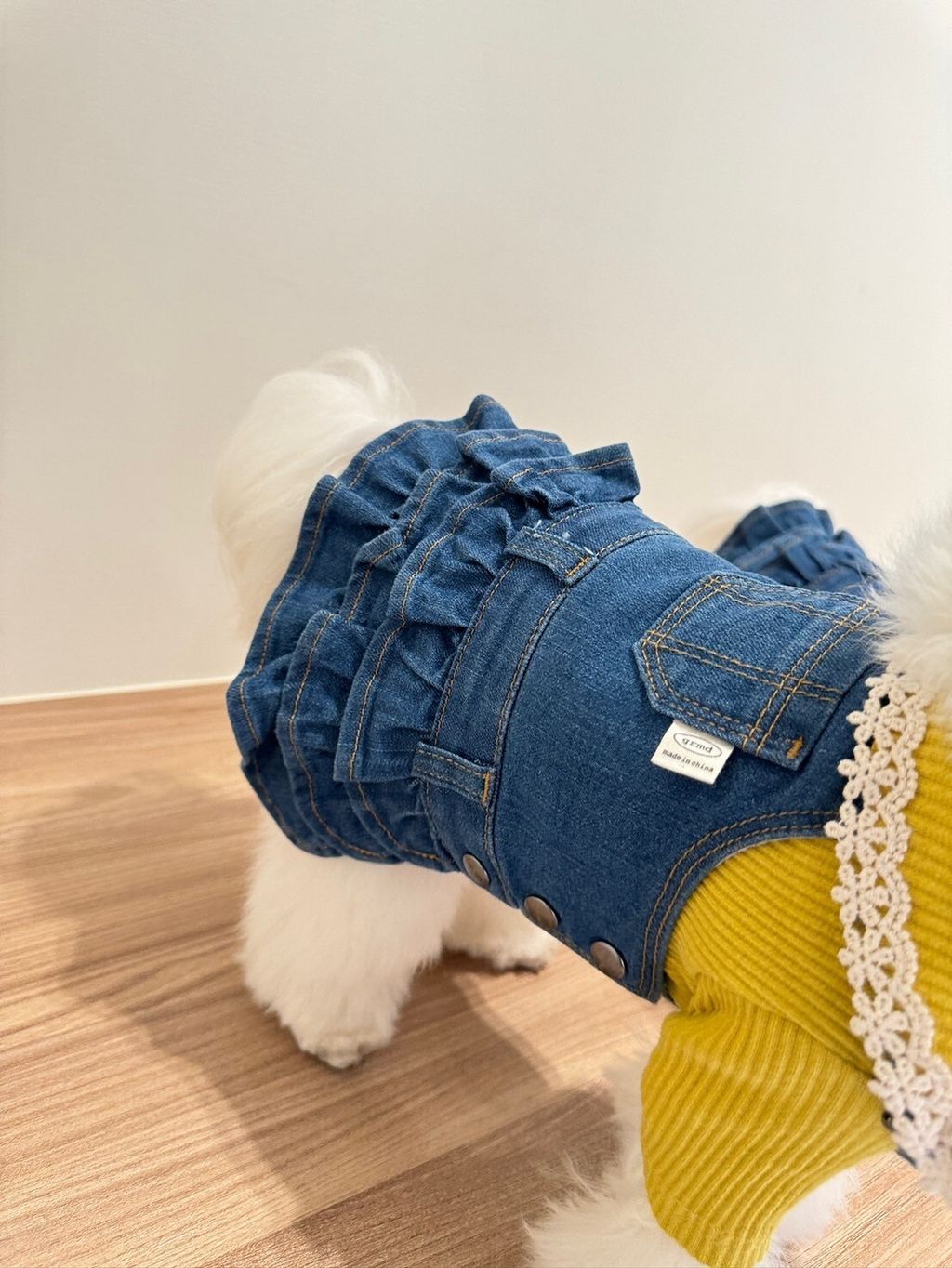 LINE_ALBUM_Grooming dog_240216_67