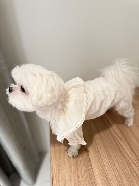 88A1B4F3-115A-46B9-BD33-02FBA935DA70