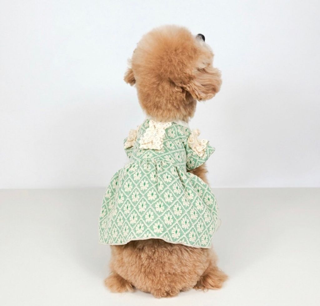 LINE_ALBUM_Grooming dog_240216_26