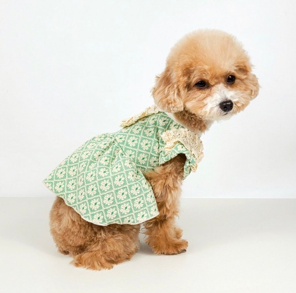 LINE_ALBUM_Grooming dog_240216_24