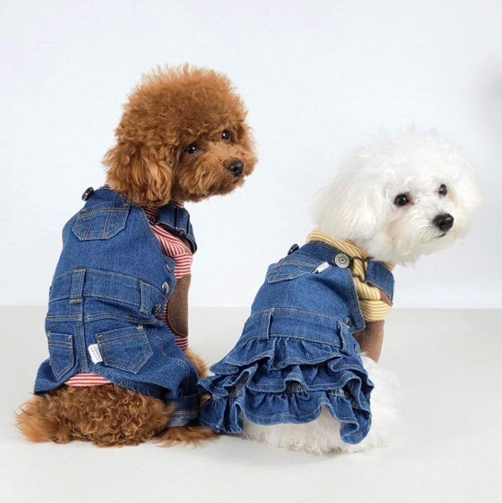 LINE_ALBUM_Grooming dog_240216_4