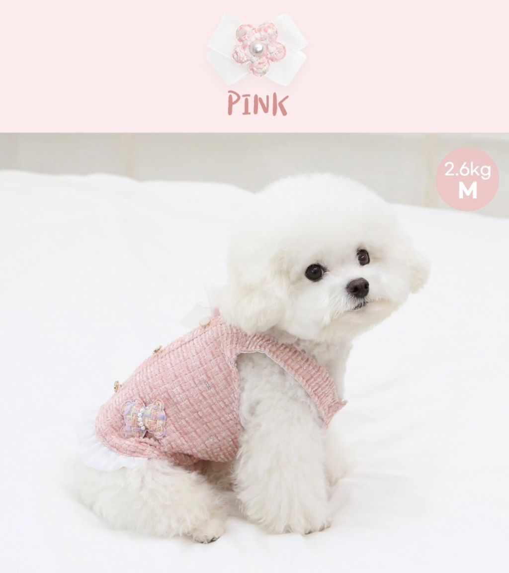 LINE_ALBUM_Itsdog 一般_240216_15