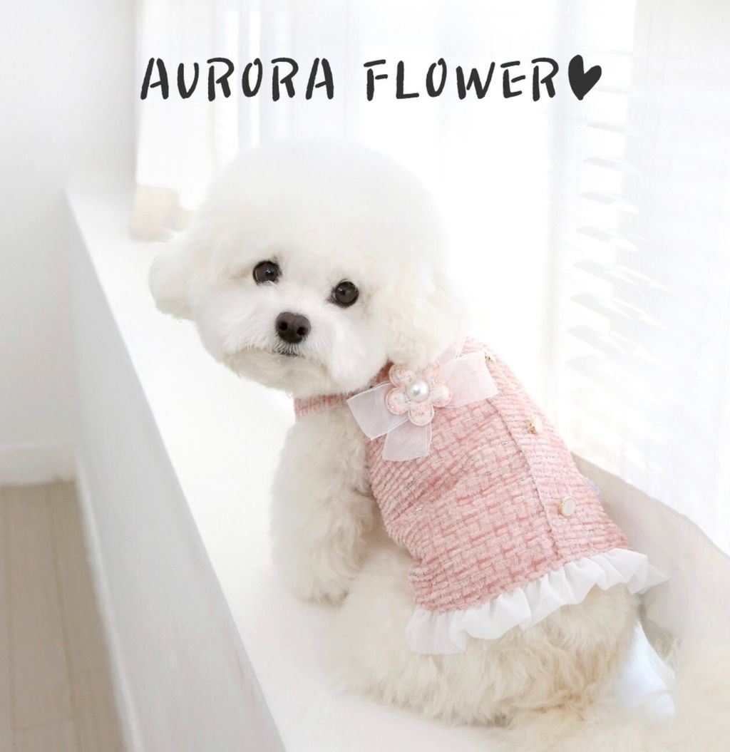 LINE_ALBUM_Itsdog 一般_240216_16