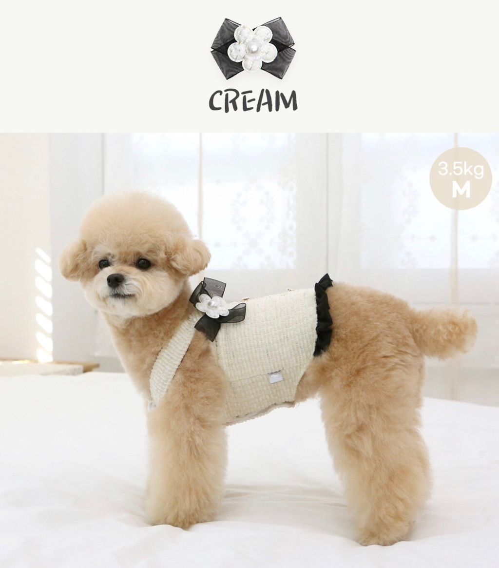 LINE_ALBUM_Itsdog 一般_240216_13