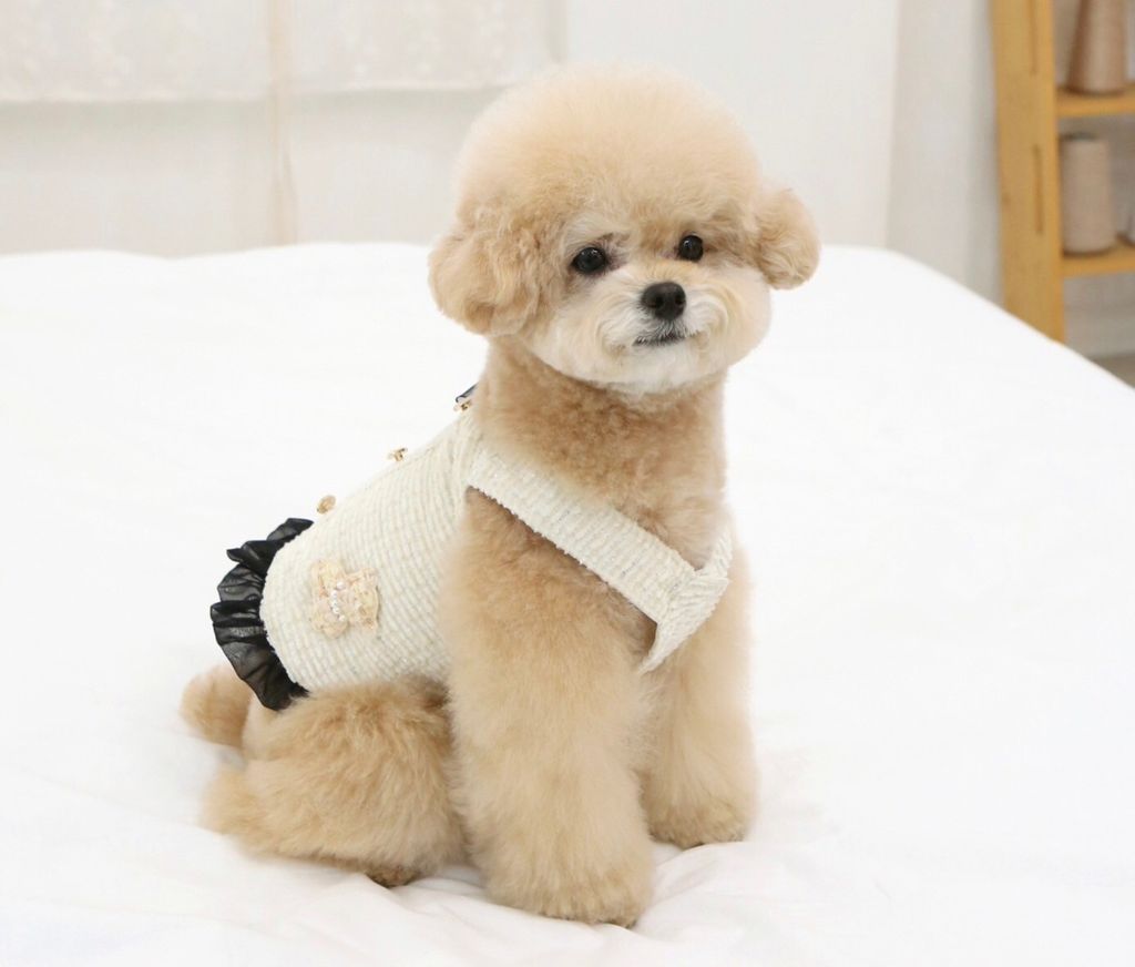 LINE_ALBUM_Itsdog 一般_240216_14