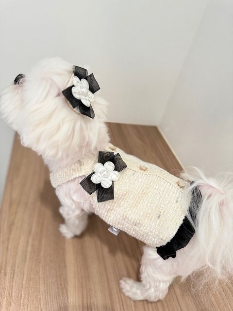 LINE_ALBUM_Itsdog 一般_240216_47