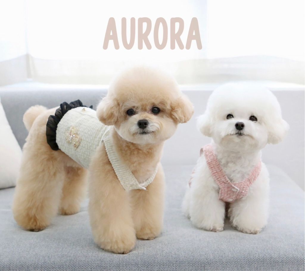 LINE_ALBUM_Itsdog 一般_240216_12