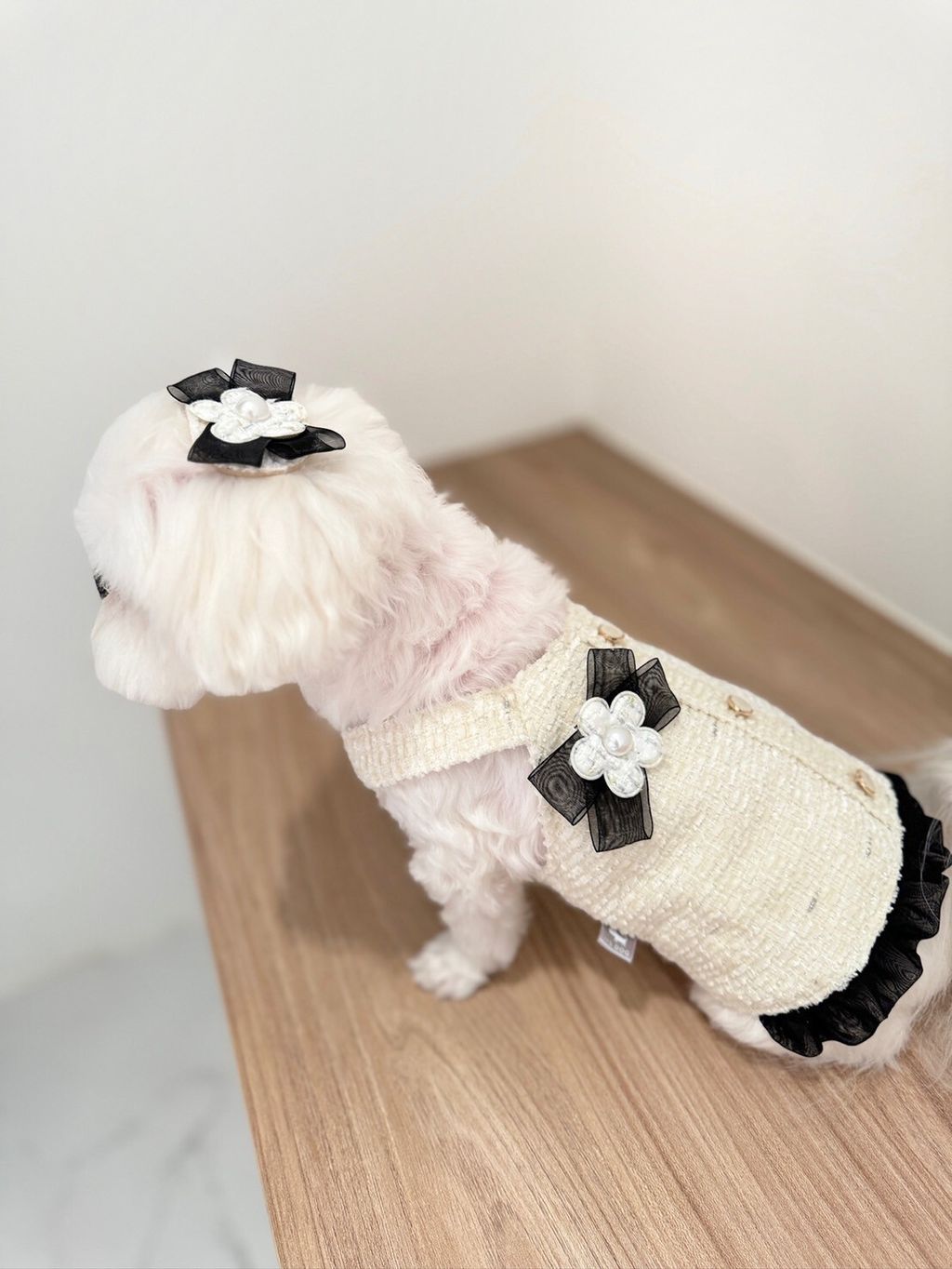 LINE_ALBUM_Itsdog 一般_240216_48