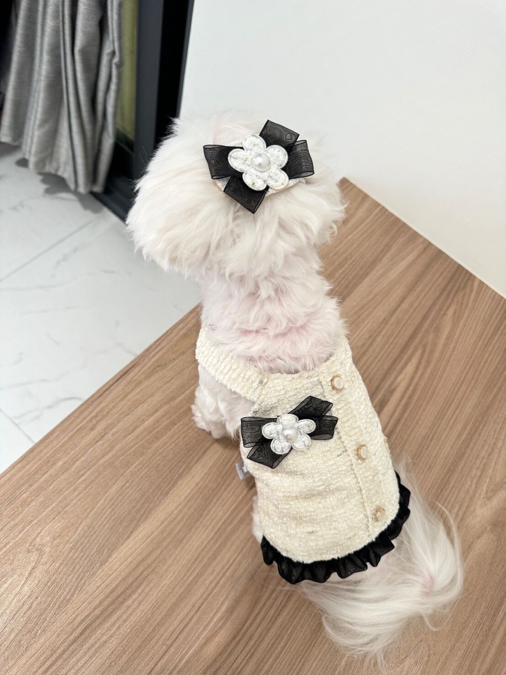 LINE_ALBUM_Itsdog 一般_240216_50