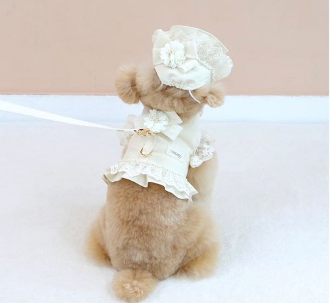 LINE_ALBUM_Itsdog 一般_240216_57