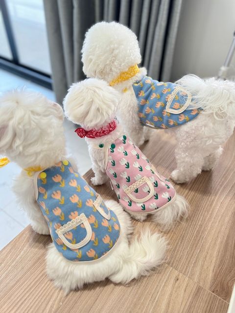 LINE_ALBUM_Zoobico_240216_13