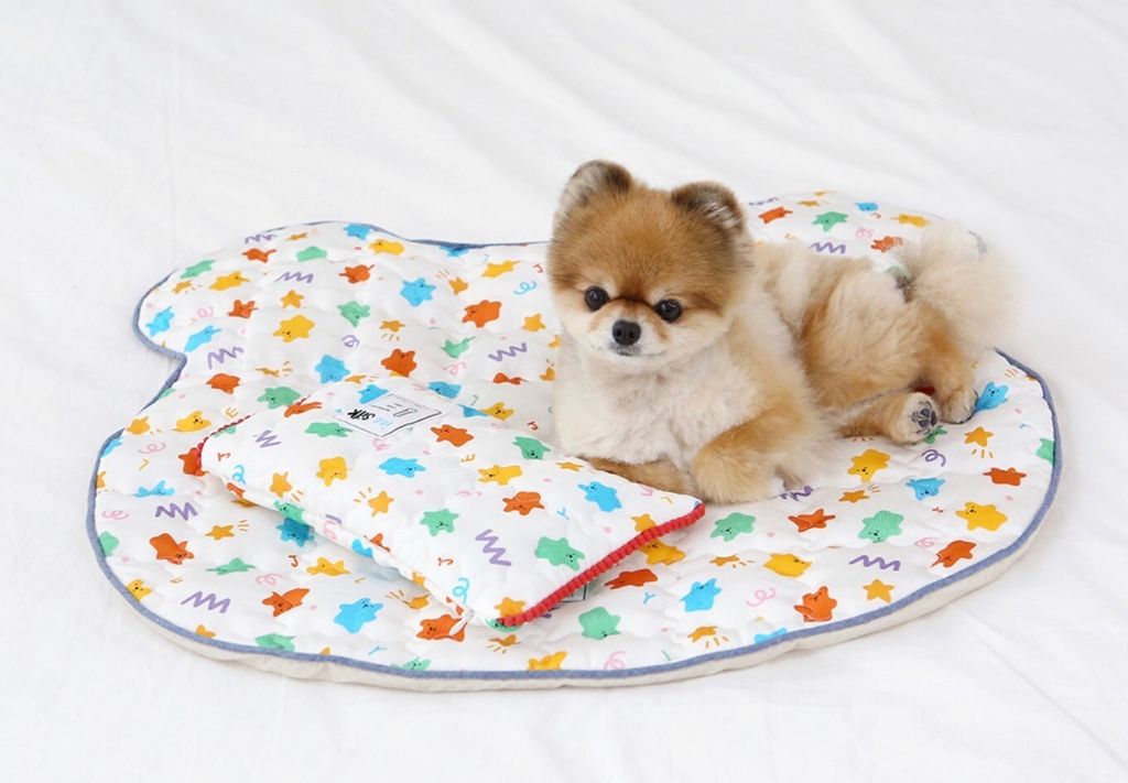 LINE_ALBUM_Itsdog 一般_240216_2