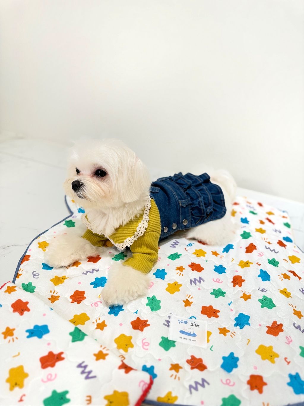IMG_9181-1708426485083
