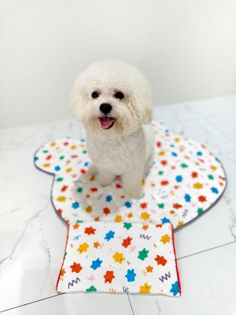 IMG_9182-1708426485107