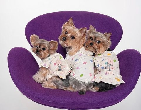 52E2B8DE-B89B-46D4-9C13-324B4FE24C49-1708679810050