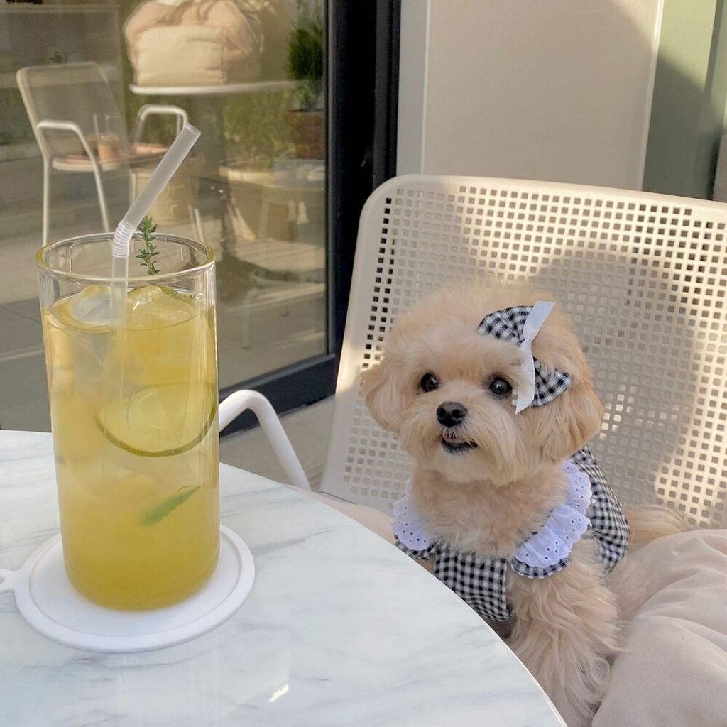 LINE_ALBUM_cheese  n mood_240306_110