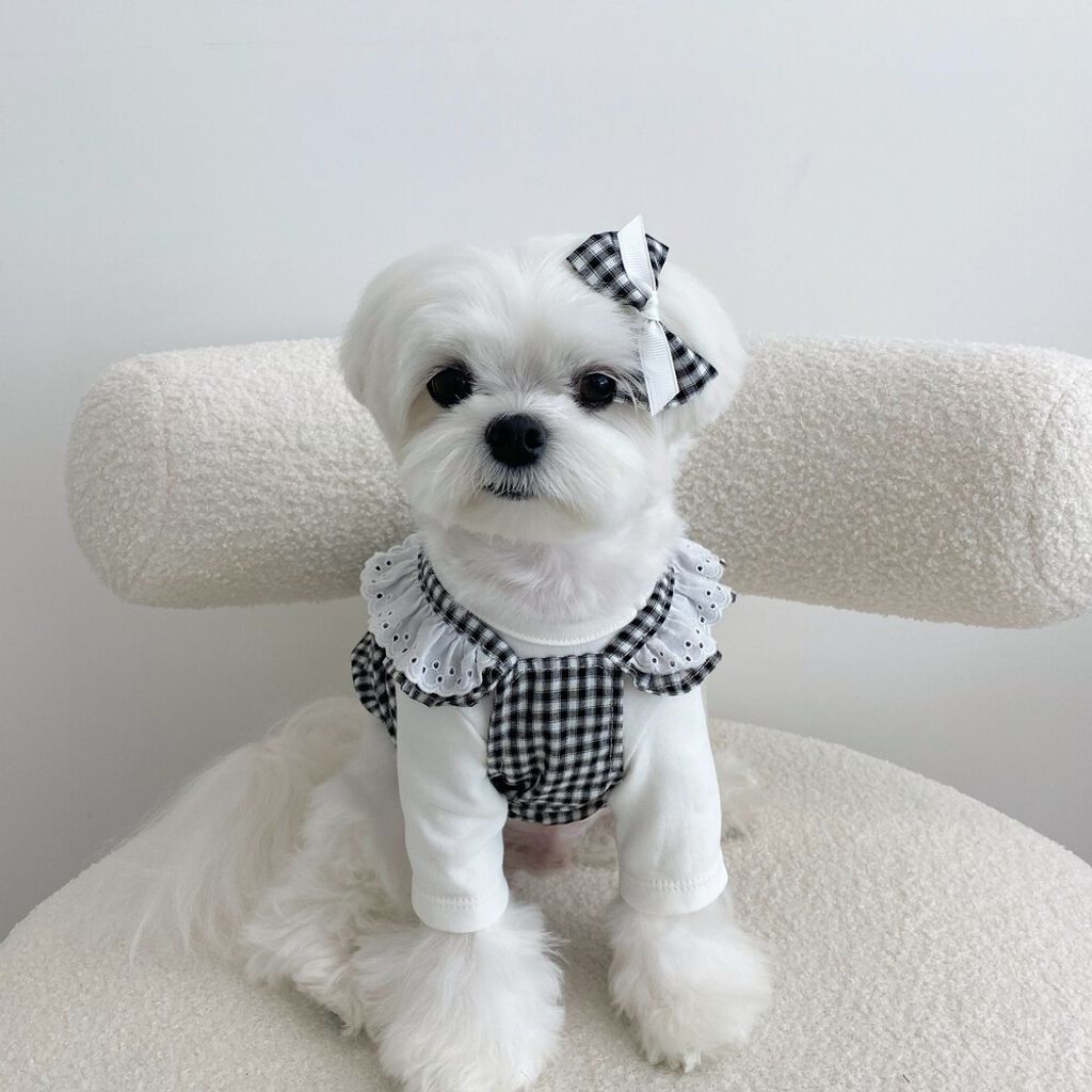 LINE_ALBUM_cheese  n mood_240306_112