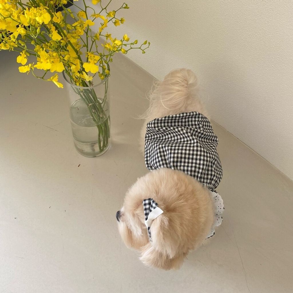 LINE_ALBUM_cheese  n mood_240306_109