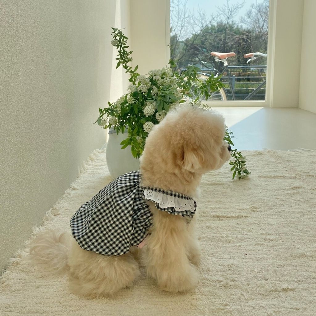 LINE_ALBUM_cheese  n mood_240306_107