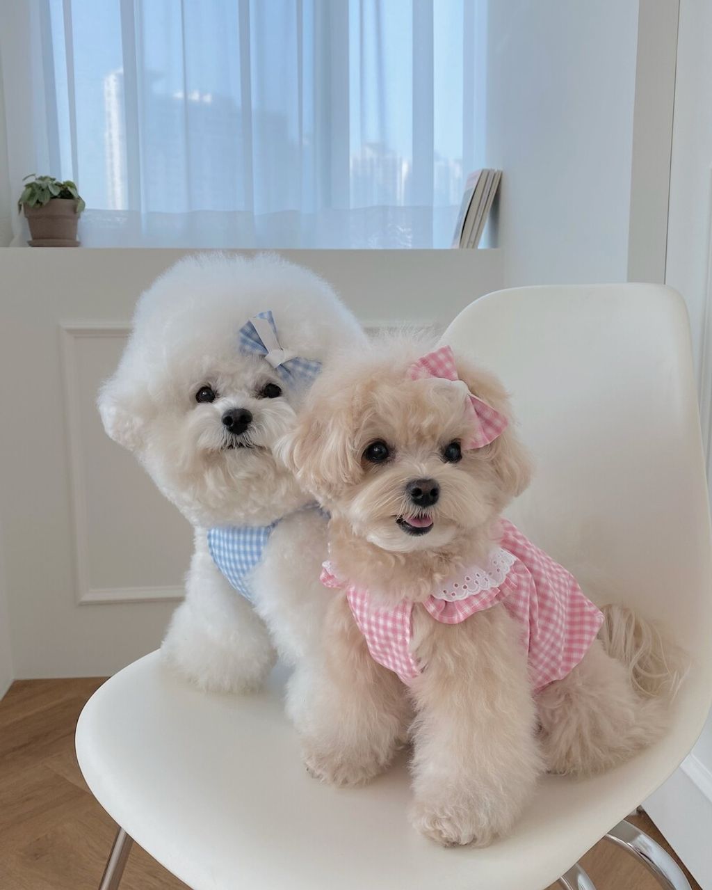 LINE_ALBUM_cheese  n mood_240306_139