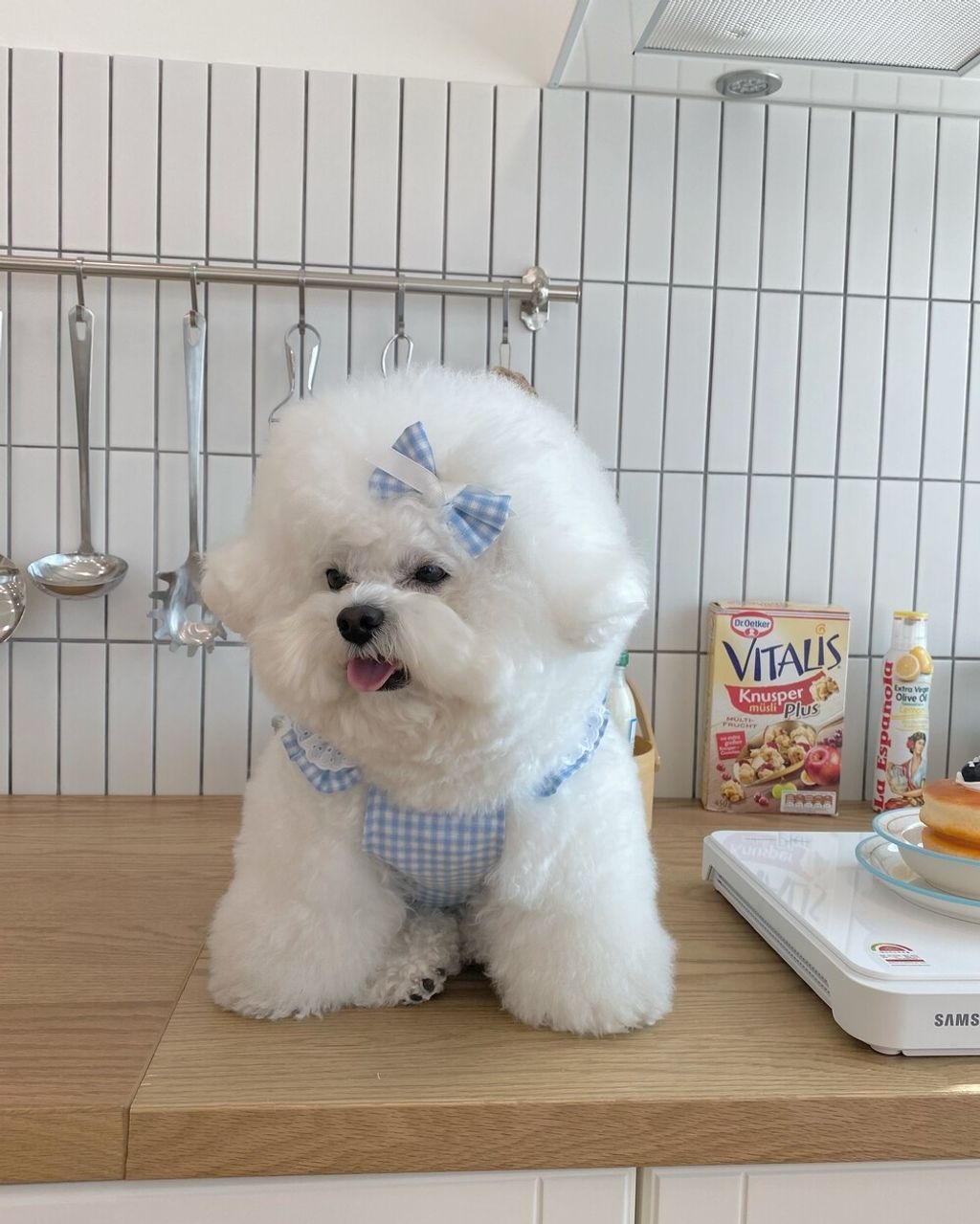 LINE_ALBUM_cheese  n mood_240306_127