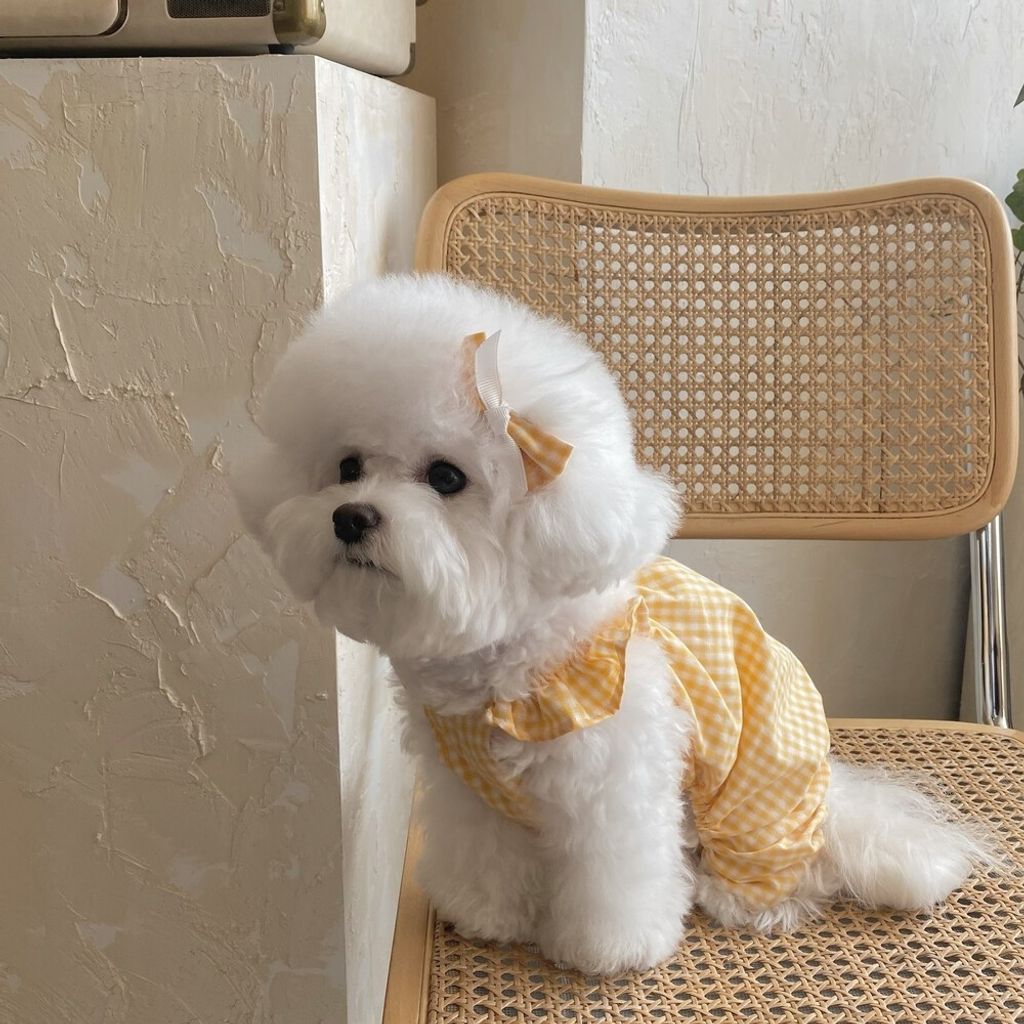 LINE_ALBUM_cheese  n mood_240306_148