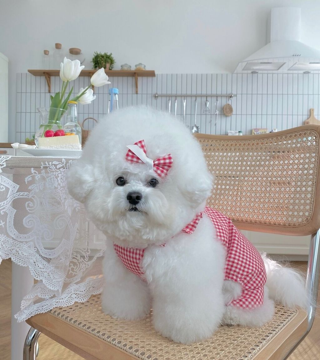 LINE_ALBUM_cheese  n mood_240306_155