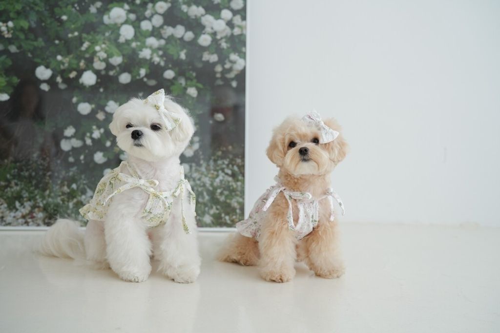 LINE_ALBUM_cheese  n mood_240306_181