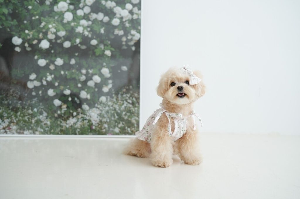 LINE_ALBUM_cheese  n mood_240306_182