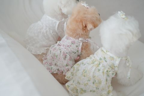 LINE_ALBUM_cheese  n mood_240306_171