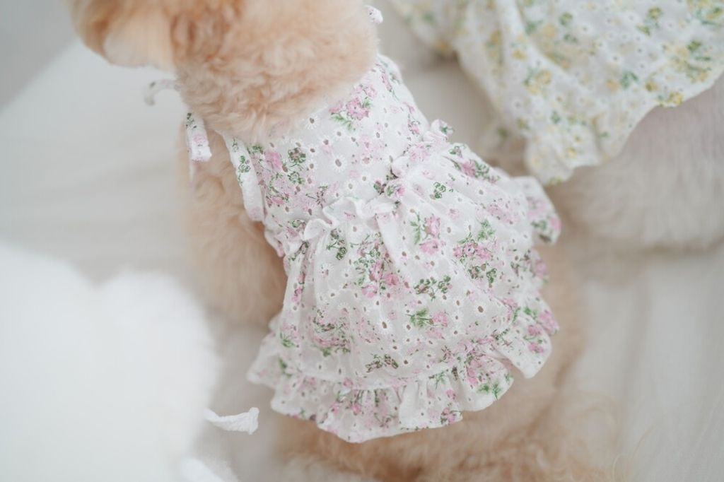 LINE_ALBUM_cheese  n mood_240306_180