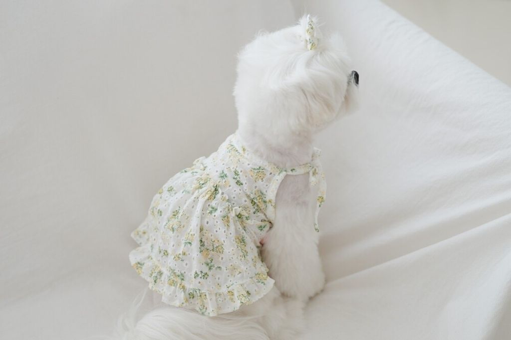 LINE_ALBUM_cheese  n mood_240306_168