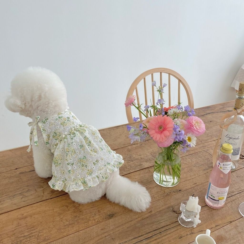 LINE_ALBUM_cheese  n mood_240306_173