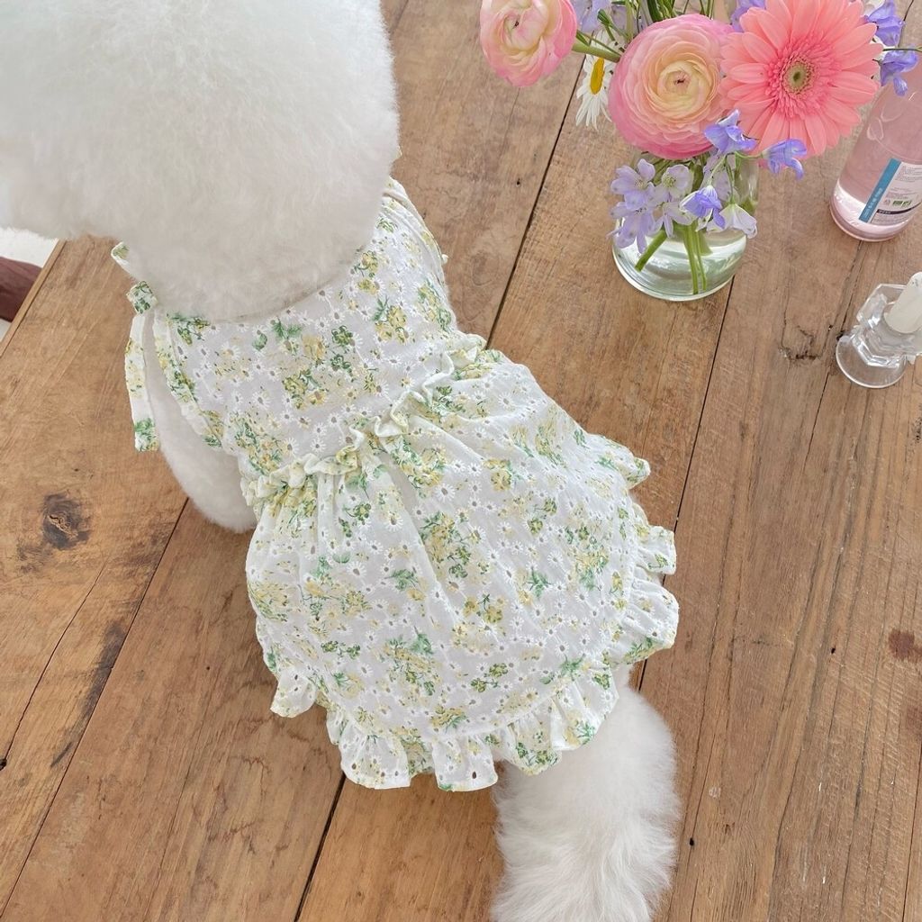 LINE_ALBUM_cheese  n mood_240306_174