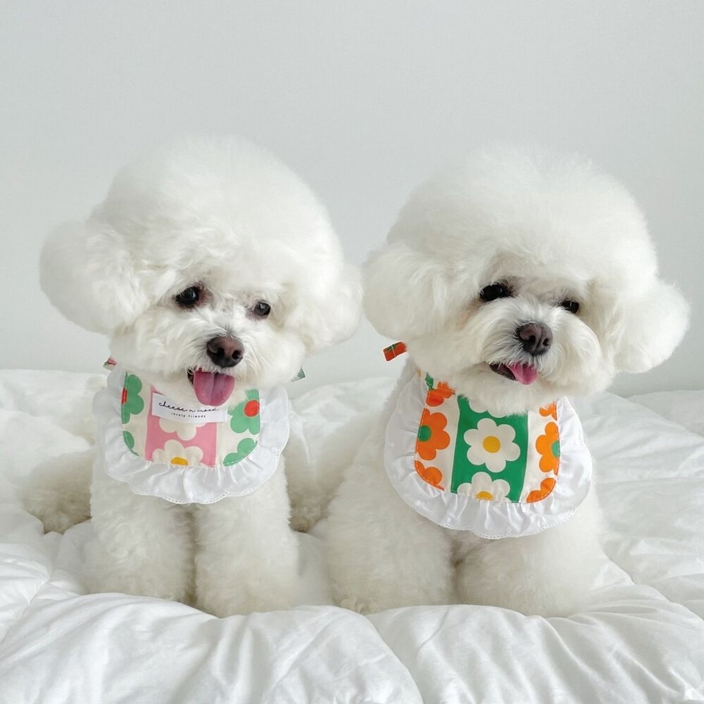 LINE_ALBUM_cheese  n mood_240306_189