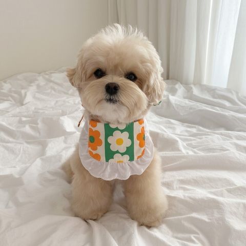 LINE_ALBUM_cheese  n mood_240306_192