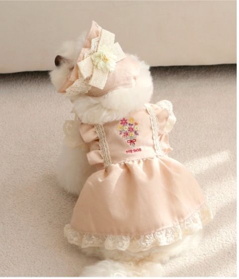 LINE_ALBUM_Itsdog 一般_240312_6