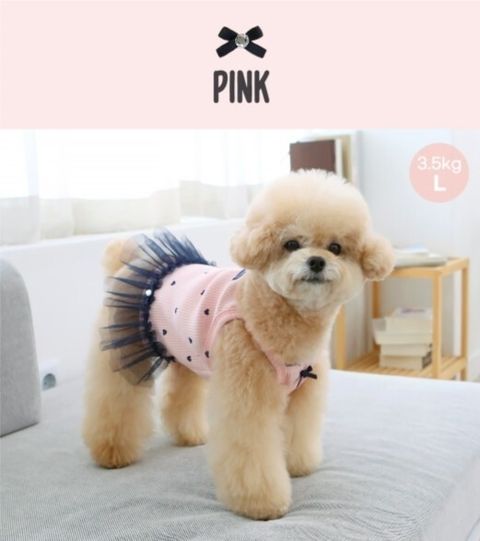 LINE_ALBUM_Itsdog 一般_240312_23