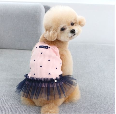 LINE_ALBUM_Itsdog 一般_240312_26