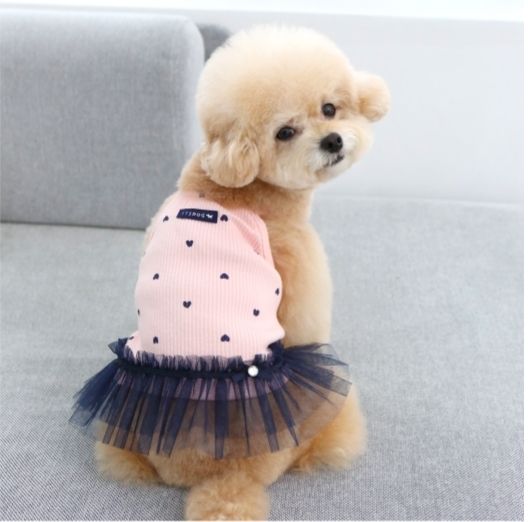 LINE_ALBUM_Itsdog 一般_240312_26