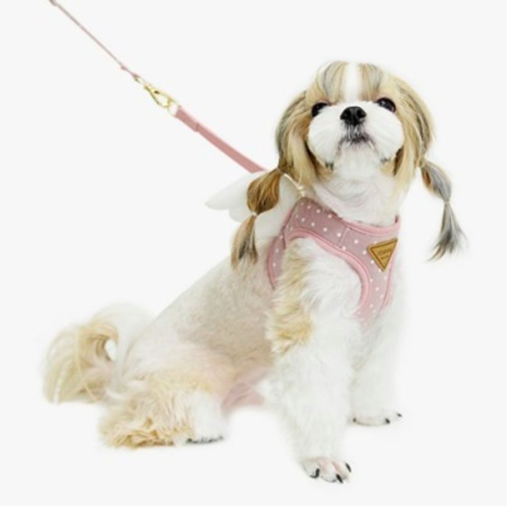 LINE_ALBUM_Itsdog 一般_240312_43