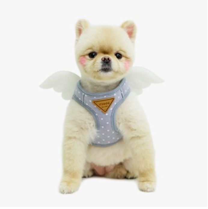 LINE_ALBUM_Itsdog 一般_240312_30