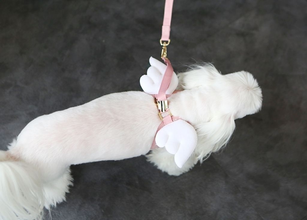 LINE_ALBUM_Itsdog 一般_240312_48