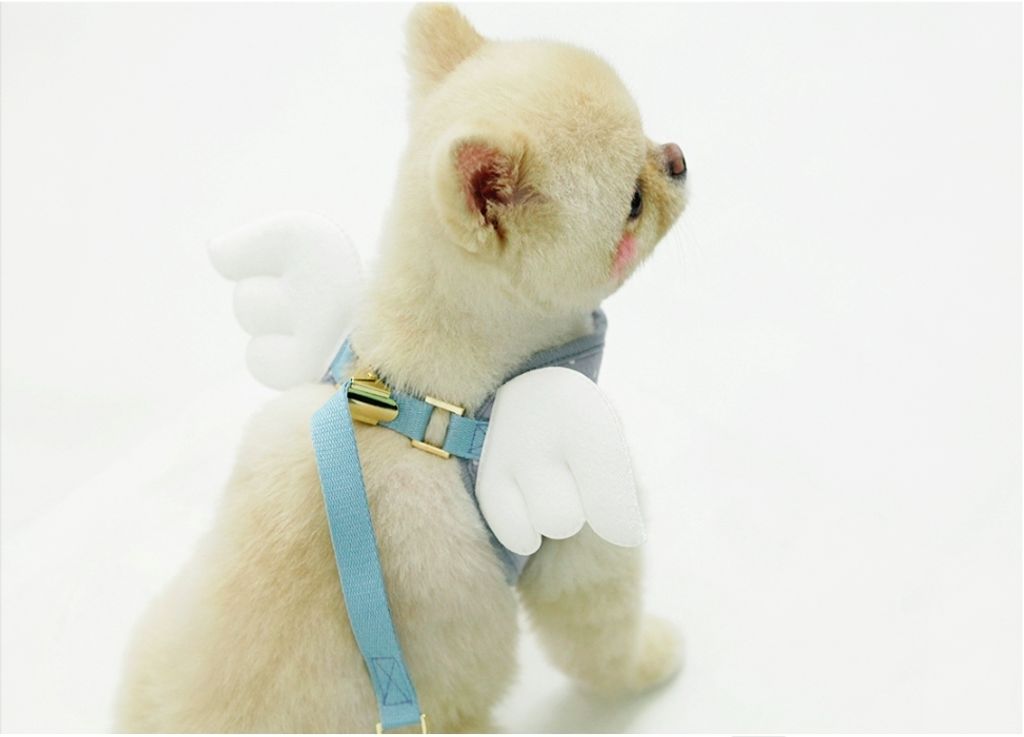 LINE_ALBUM_Itsdog 一般_240312_40