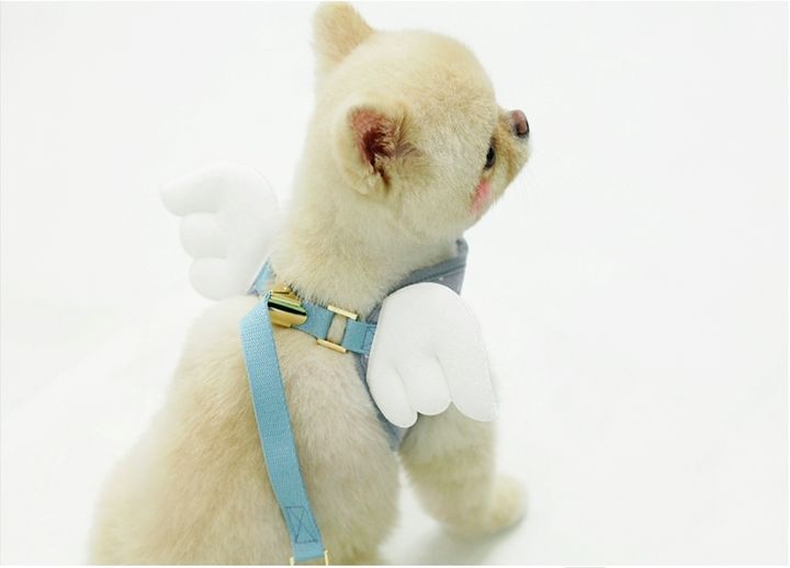 LINE_ALBUM_Itsdog 一般_240312_40
